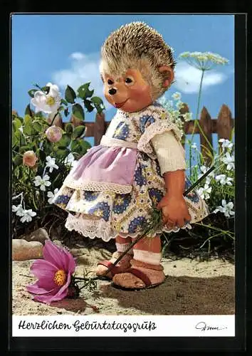 AK Herzlichen Geburtstagsgruss - Mecki pflückt Blumen