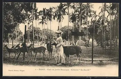 AK Hanoi, Cerfs du jardin Botanique