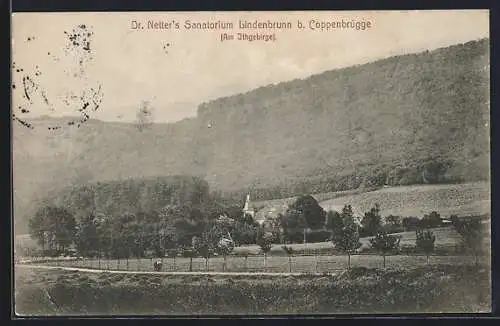 AK Lindenbrunn b. Coppenbrügge, Dr. Netter`s Sanatorium am Ithgebirge