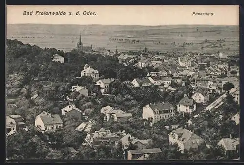 AK Bad Freienwalde a. d. Oder, Panorama