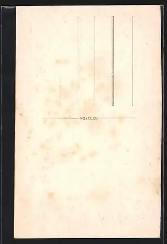 AK Police n. Met., Radnice