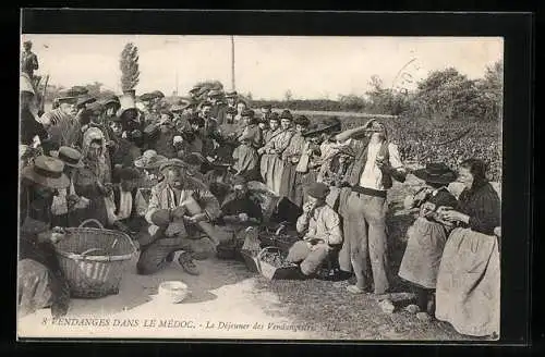 AK Vendanges dans le Médoc, De Déjeuner des Vendangeurs