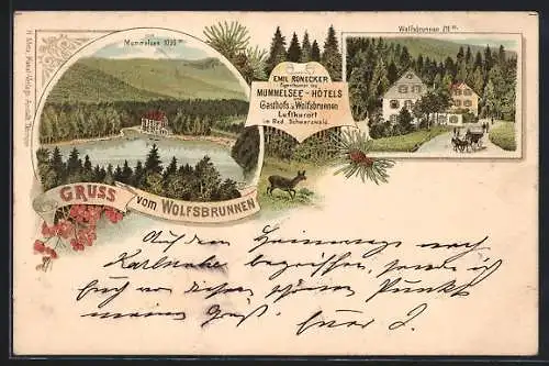 Lithographie Seebach / Schwarzwald, Mummelsee-Hotel, Gasthof Wolfsbrunnen