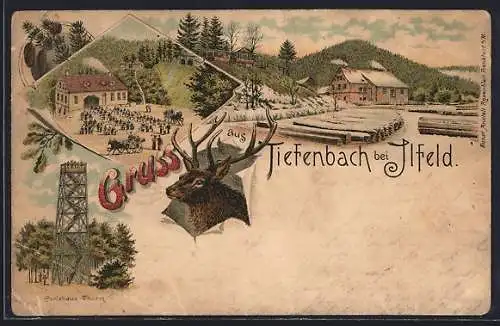 Lithographie Tiefenbach b. Ilfeld, Gasthaus, Carlshaus-Thurm, Hirsch