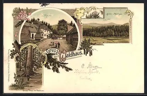 Lithographie Lindberg, Gasthof Waldhaus Zwiesel, grosse Tanne & Arber v. Waldhaus