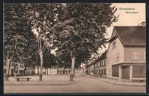 AK Bischweiler, Baumplatz