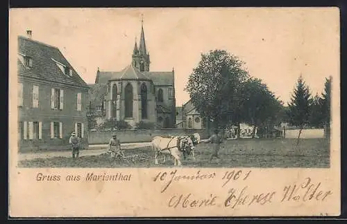 AK Marienthal, Ochsenpflug mit Blick zur Kirche