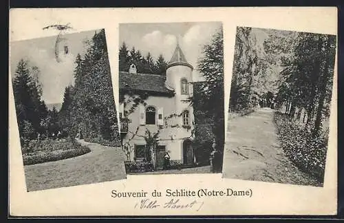 AK Strassburg /Elsass, Schlitte (Notre-Dame) in drei Bildern