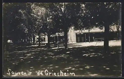 AK Griesheim, Alleestrasse an Gebäuden