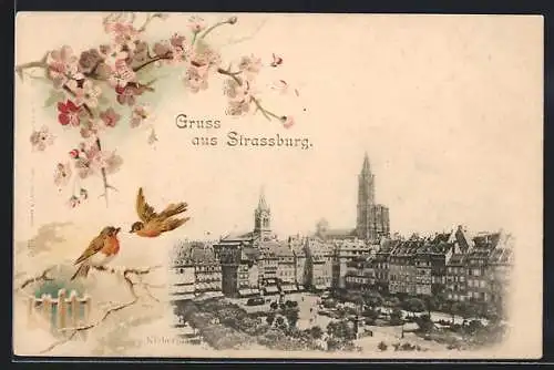 AK Strassburg, Kleberplatz mit Blick auf Münster, Vogel