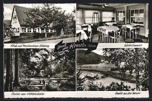 AK Hemeln /Weser, Gasthaus-Pension Lohberg mit Gästezimmer, Partie a. d. Weser, Partie am Heldenhain