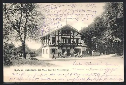 AK Annweiler am Trifels, Kurhaus Taubensuhl