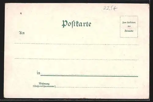Lithographie Nürnberg, Dürerhaus, Dürerdenkmal, die Burg und Spittlertor