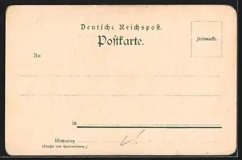 Lithographie Hannover, Panorama aus der Vogelschau