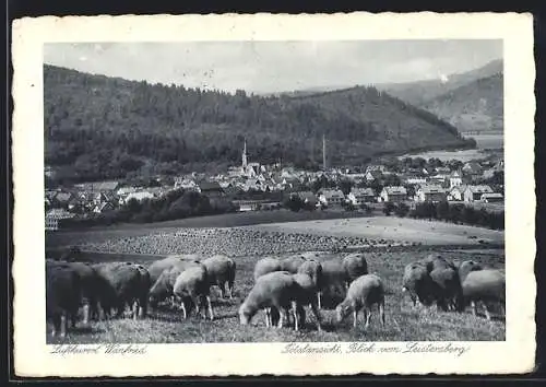 AK Wanfried, Totalansicht vom Leistersberg