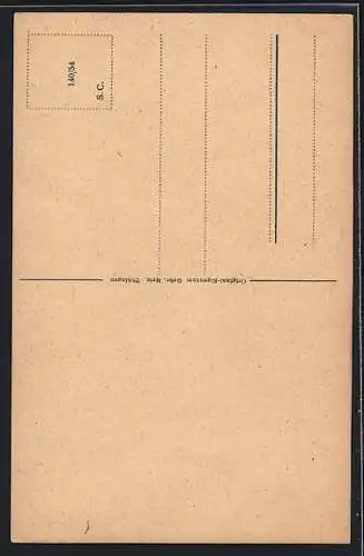 AK Freiburg i. B., Martinstor aus der Vogelschau