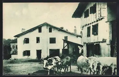 AK Ustaritz /Pays Basque, Maisons Basques à Ustaritz