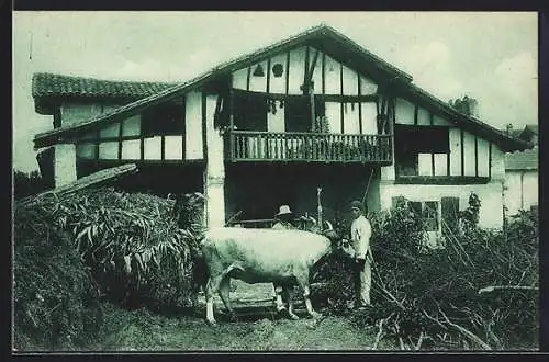 AK Ustaritz /Pays Basque, Maisons Basques à Ustaritz