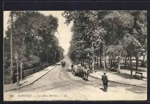 AK Bayonne, Les Allées Marines