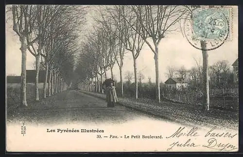 AK Pau /Pyrénées, Le Petit Boulevard