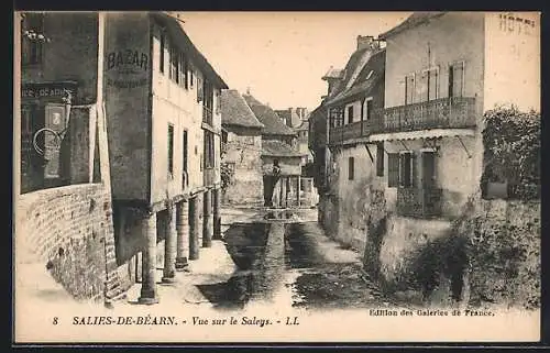 AK Salies-de-Béarn, Vue sur le Saleys