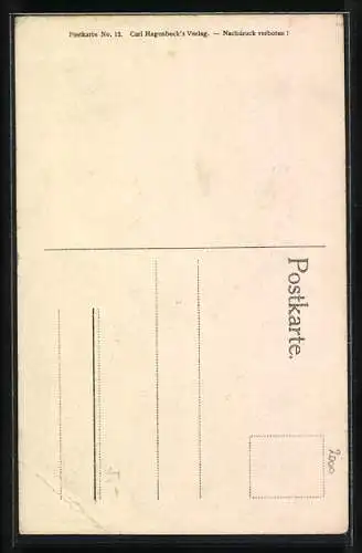 AK Stellingen, Carl Hagenbecks Tierpark, Nubische Steinböcke