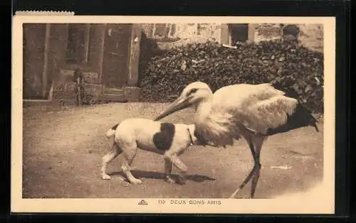 AK Deux Bons Amis, Hund und Storch