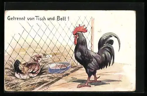 AK Hahn und Huhn, durch Maschendraht getrennt