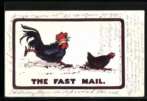 AK The Fast Mail, Hahn verfolgt Huhn