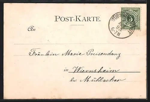 AK Tübingen, Akademisches Viertel, Um 1900