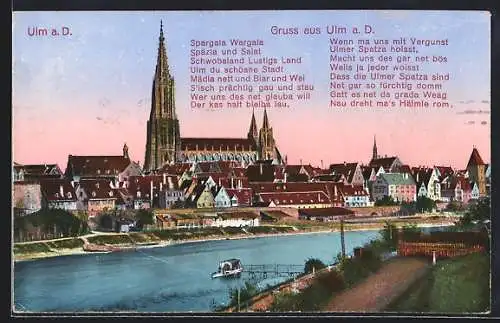 AK Ulm a. D., Ortsansicht mit Dom