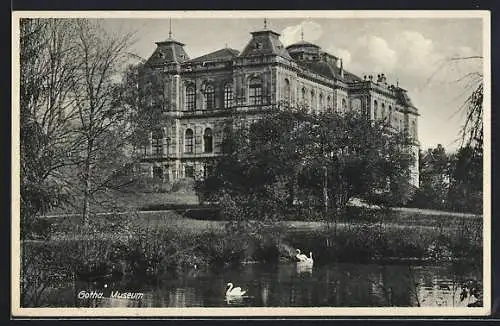 AK Gotha, Museum und davor Teich mit Schwänen