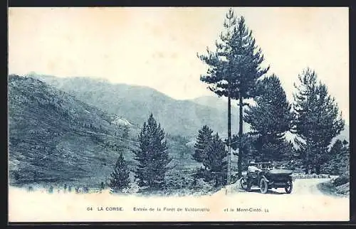 AK Valdoniello /Corse, Entrée de la Forêt de Valdoniello et le Mont-Cinto