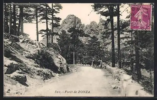 AK Zonza, La Forêt