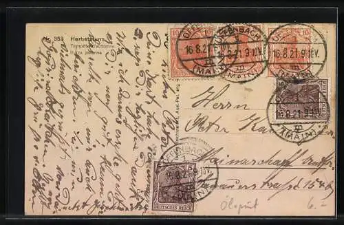 Künstler-AK Degi Nr. 353: Herbststurm