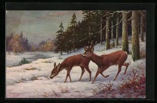 Ölgemälde-Imitations-AK Degi Nr. 1284: Äsende Rehe im Schnee, W. Hoy