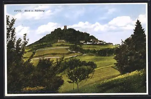 AK Nürburg /Eifel, Blick auf die Nürburg