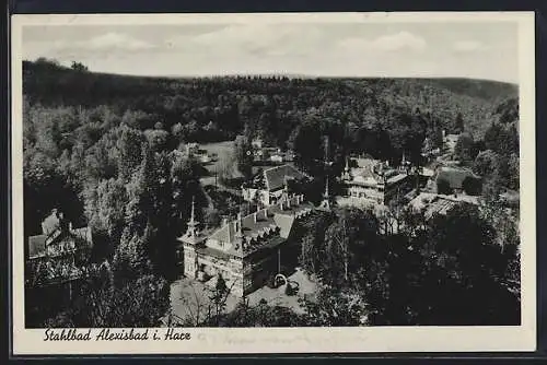 AK Alexisbad i. Harz, Ortsansicht aus der Vogelschau