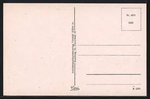 AK Lüneburg, Strasse am Sande und Reichenbach-Denkmal