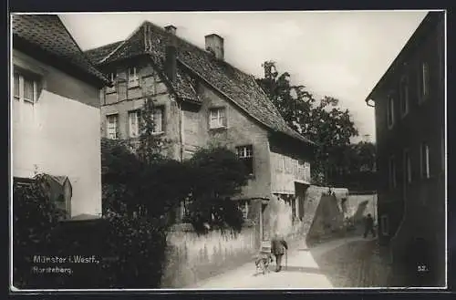 AK Münster / Westfalen, Mann mit Hund in der Horstebergstrasse