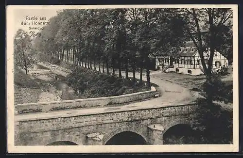 AK Sanssouci / Hönnetal, steinerne Brücke & Fachwerkhaus