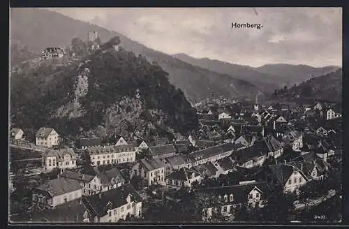 AK Hornberg / Schwarzwald, Teilansicht des Ortes