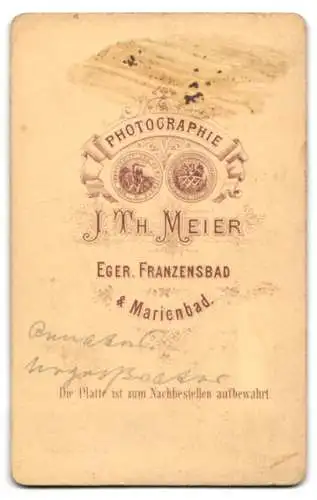 Fotografie J. Th. Meier, Eger, Beamter in Dienstuniform mit Mustasch