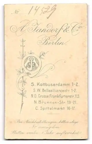 Fotografie A. Jandorf & Co., Berlin, Kottbusserdamm 1-2, Porträt eines jungen Mannes im Anzug