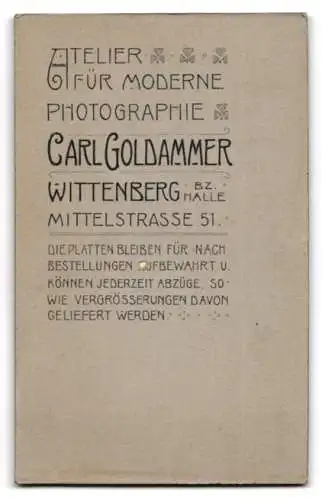 Fotografie Carl Goldammer, Wittenberg, Mittelstrasse 51, Dame in dunklem Kleid mit Buch