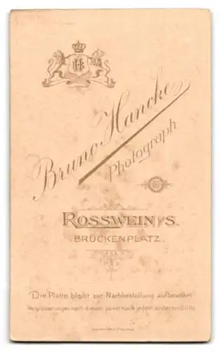 Fotografie Bruno Hancke, Rosswein i. S., Brückenplatz, Eleganter Herr im Anzug