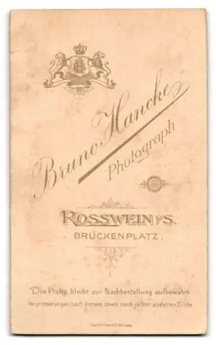 Fotografie Bruno Hancke, Rosswein i. S., Brückenplatz, Eine elegante Dame im dunklen Kleid