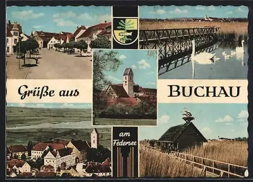 AK Buchau am Federsee, Teich mit Schwänen, Störche und Ortsansicht