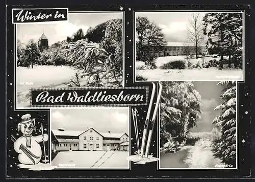 AK Bad Waldliesborn, Kurmittelhaus, Badehaus, Waldpartie