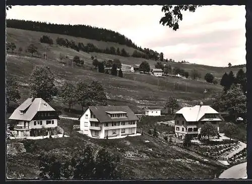 AK Todtnauberg /Schwarzwald, Ortsansicht am Berghang